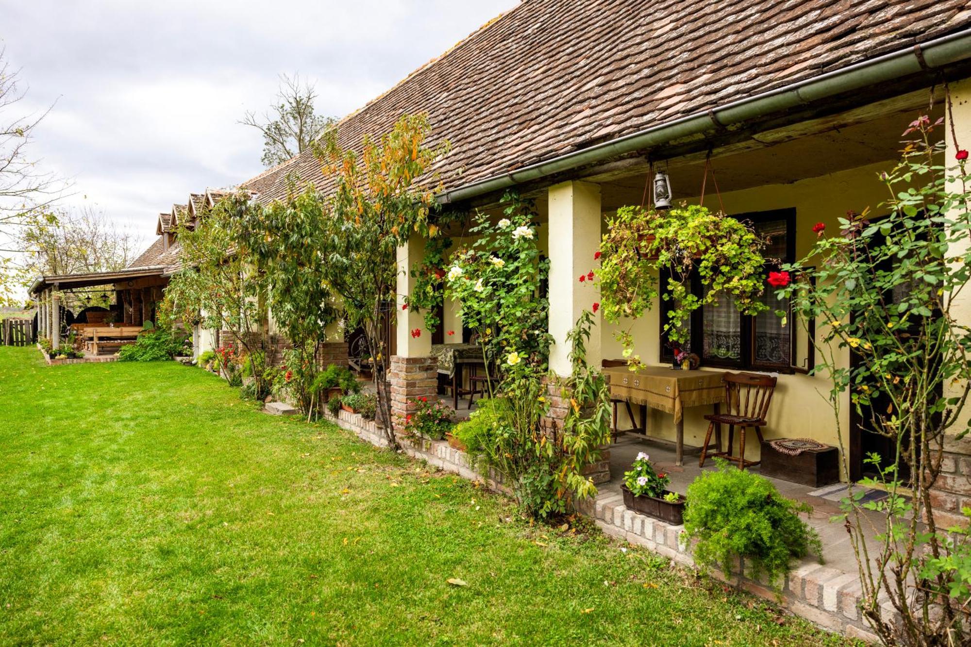 Gradiste Snasini Kucari Bed & Breakfast エクステリア 写真